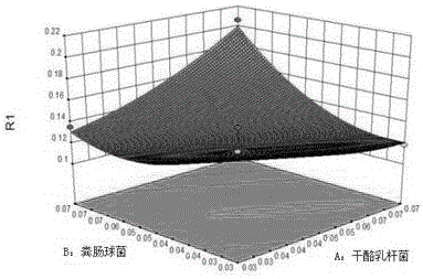 Compound microecological preparation for livestock and poultry excrement treatment and preparation method and application thereof