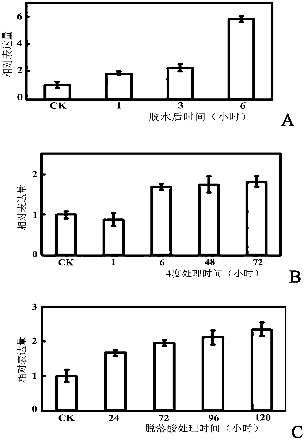 Pear drought induction transcription factor PbrWRKY53 and application thereof in aspect of increasing drought resistance of plant