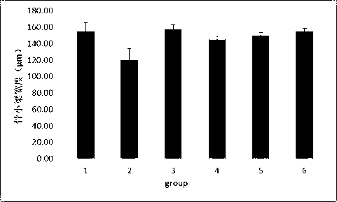 Medicinal composite containing cornu cervi pantotrichum and application thereof