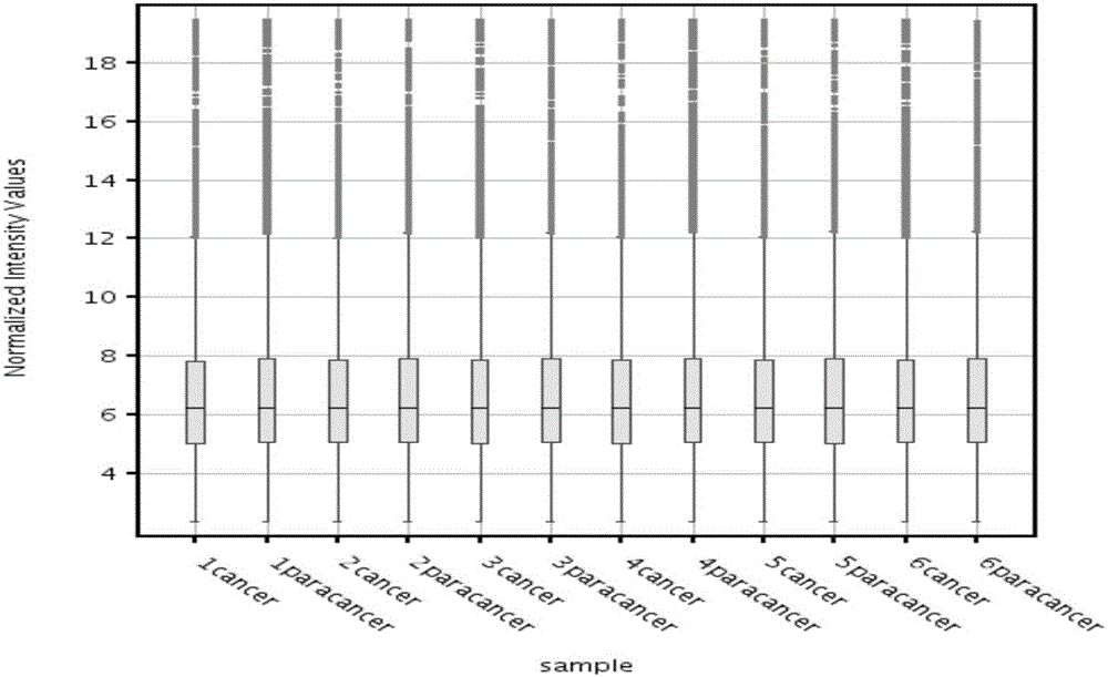 LncRNA molecule ENST00000438553 and application thereof in auxiliary diagnosis of nasopharyngeal carcinoma