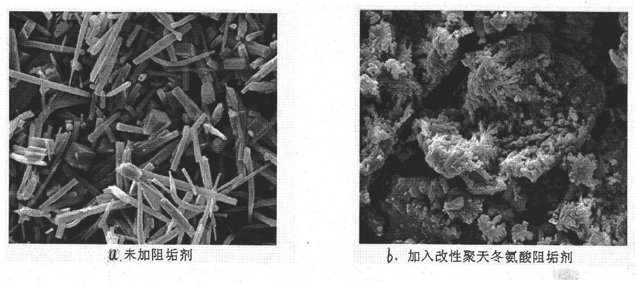 Methods for preparing and applying modified polyaspartic acid scale inhibitor