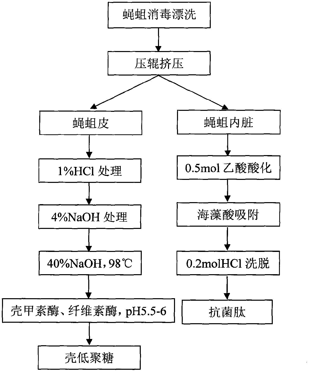 Method for extracting chitin and antibacterial peptide from fly larvae