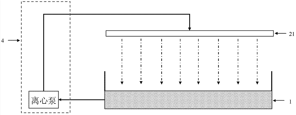 Raceway pond photobiological reactor for implementing microalgae large-scale culture