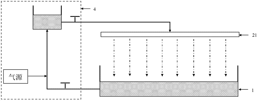 Raceway pond photobiological reactor for implementing microalgae large-scale culture