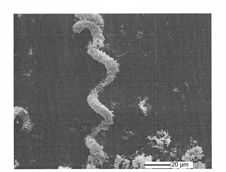 Method and device for plating cladding magnetic material on microorganism surface