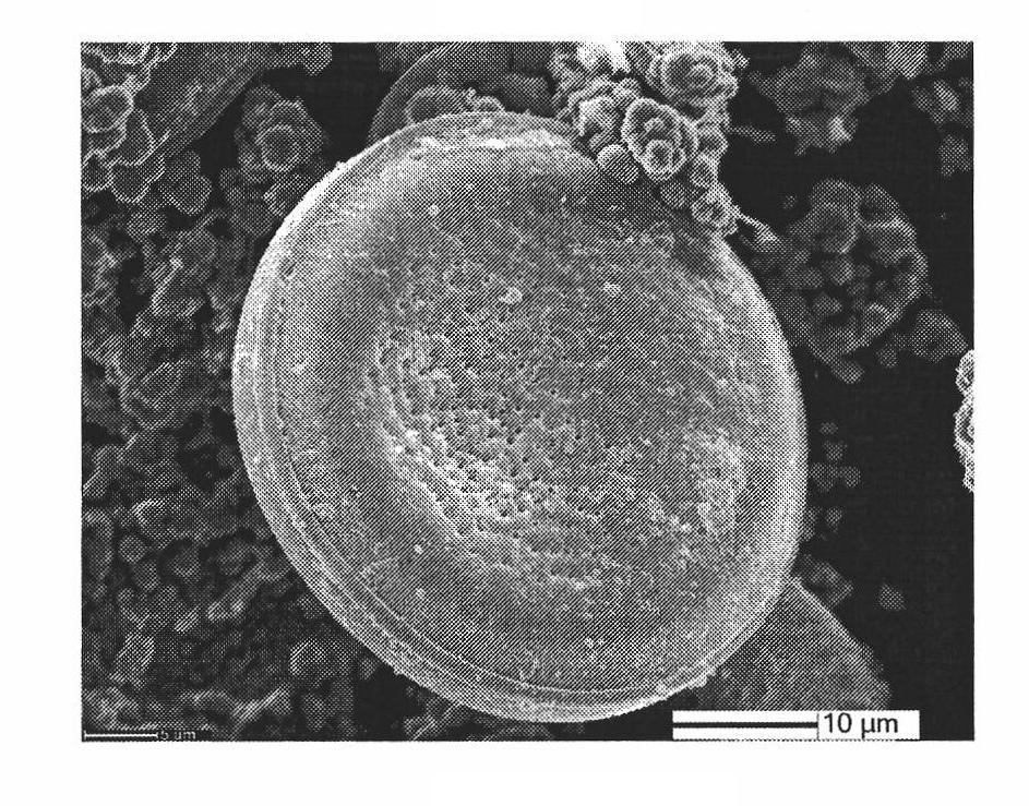 Method and device for plating cladding magnetic material on microorganism surface