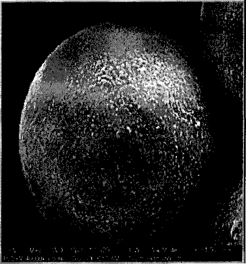 Method for preparing nano-micrometre composite microsphere