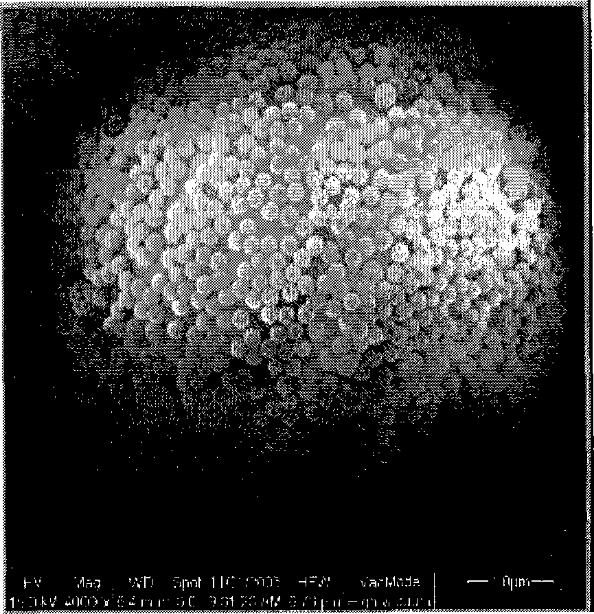 Method for preparing nano-micrometre composite microsphere