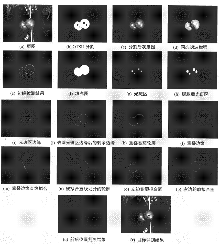 Nighttime double fruit overlap tomato identification method based on overlap edge detection under active illumination