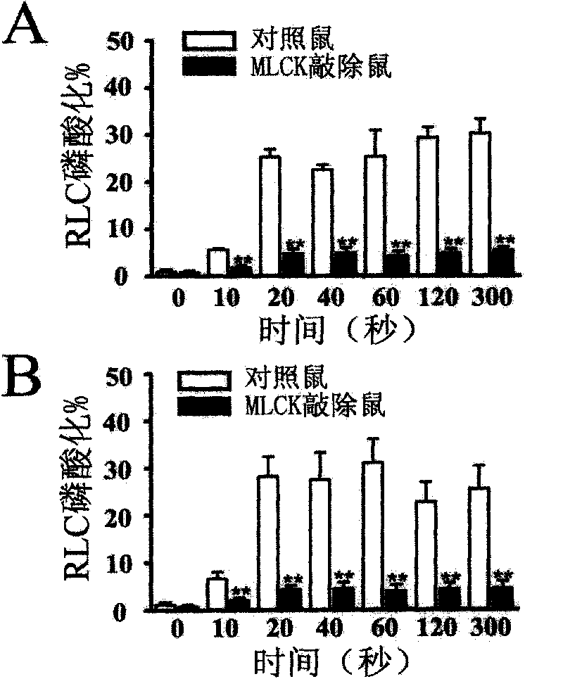 Novel method for lowering breath resistance of bronchial asthma