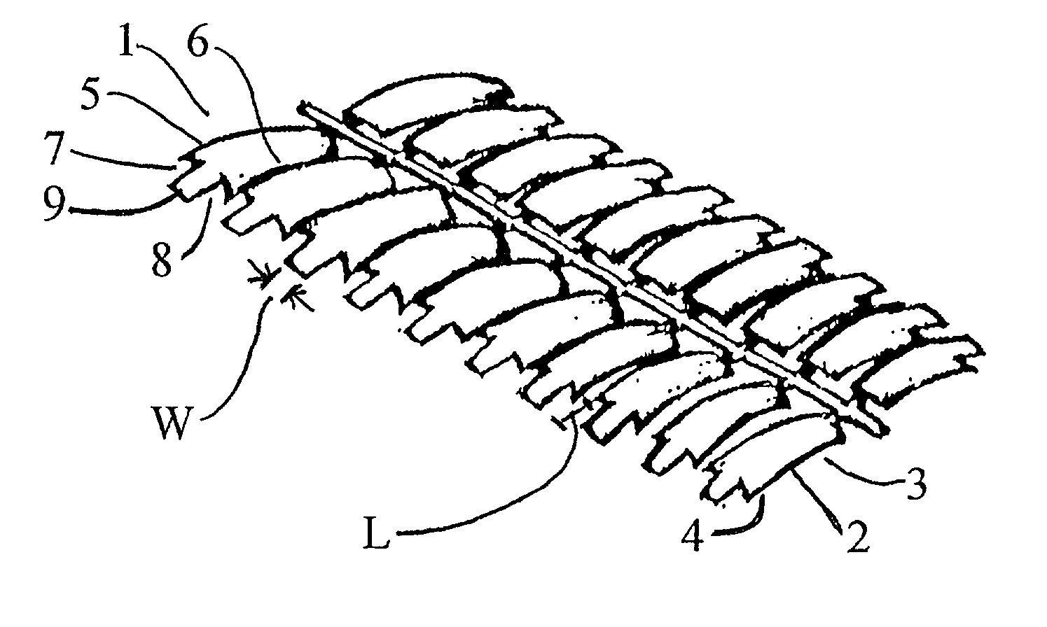 Artificial nail tips