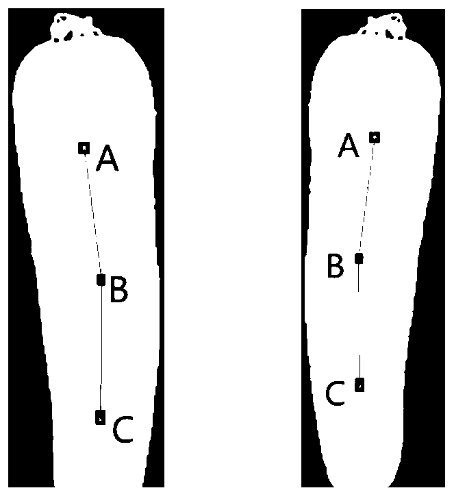 Carrot surface defect detecting method