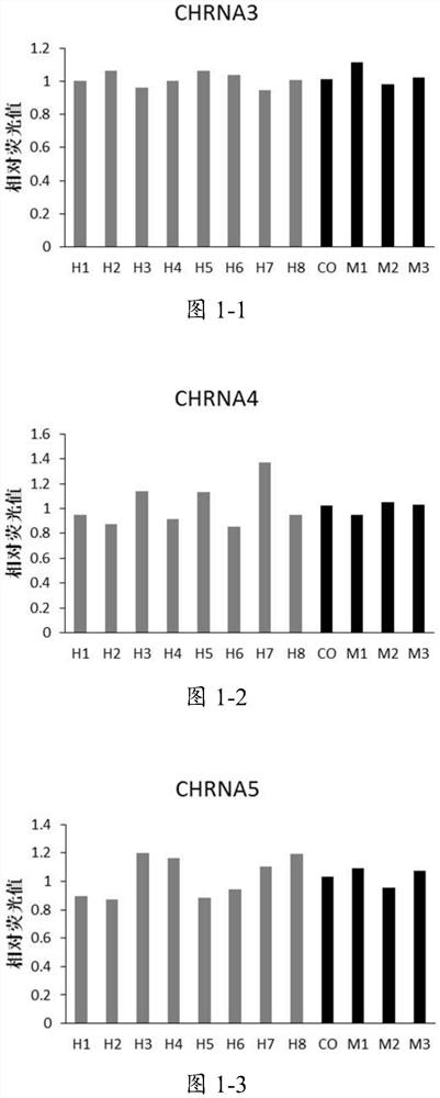 Packaged high-flux measurement method for expression change of gene and corresponding protein in hippocampus during nicotine addiction, withdrawal and addiction reconstruction stage