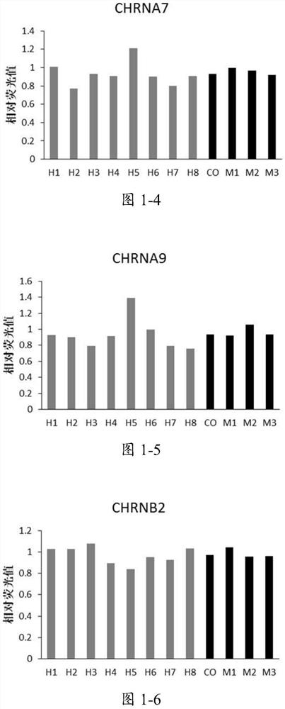 Packaged high-flux measurement method for expression change of gene and corresponding protein in hippocampus during nicotine addiction, withdrawal and addiction reconstruction stage