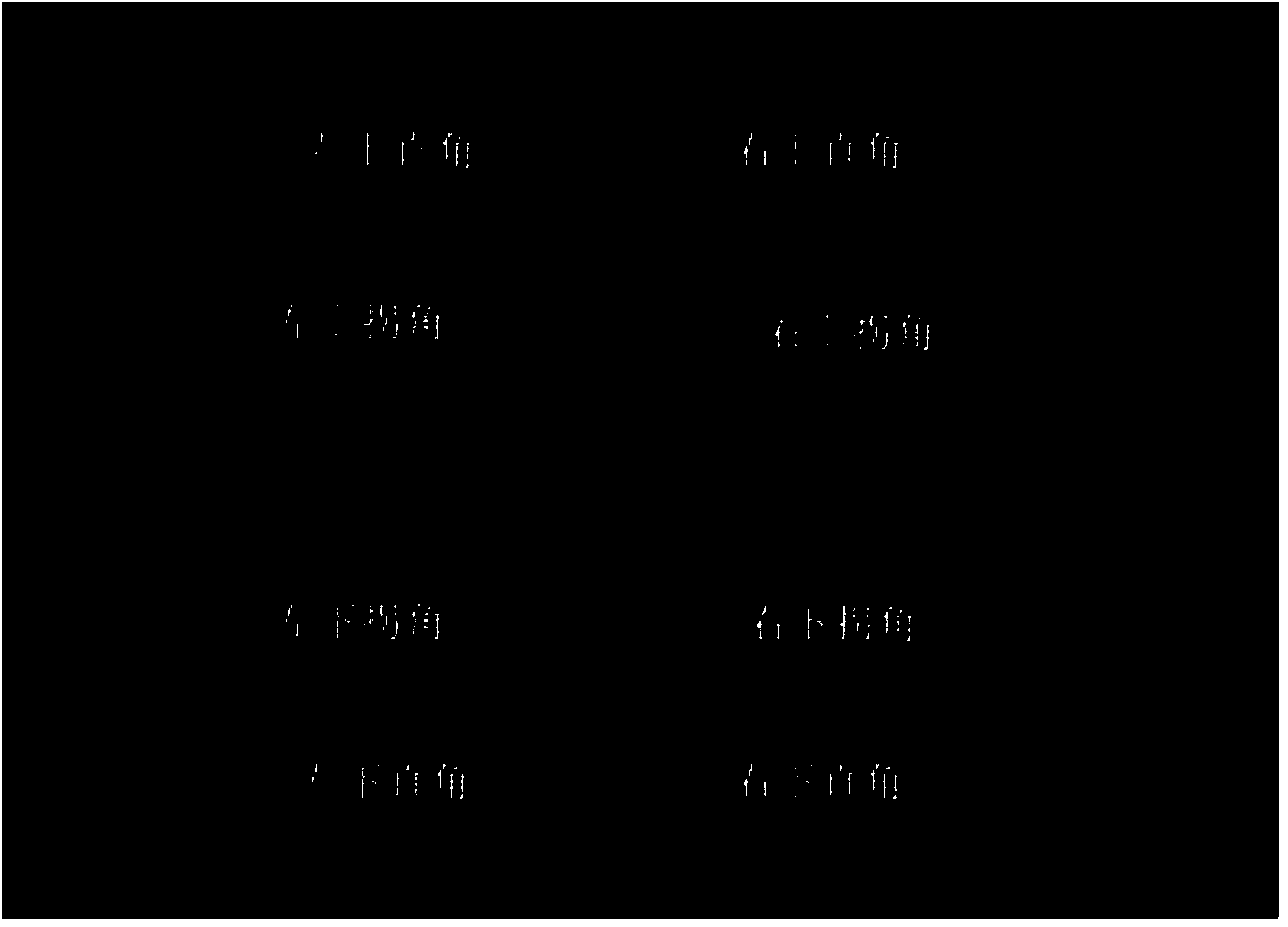 Method for measuring coating thickness of automotive tail gas catalyst