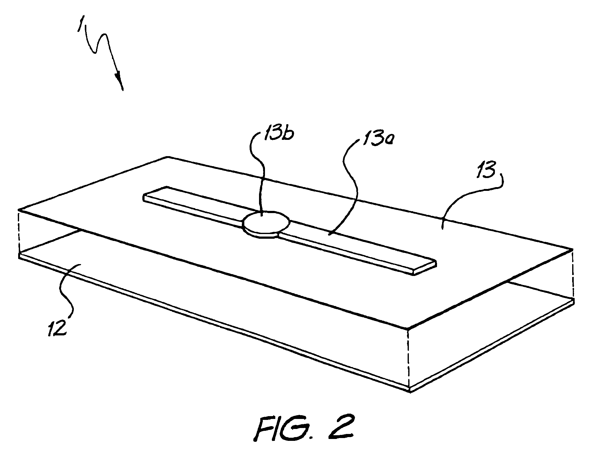 Motion monitoring apparatus