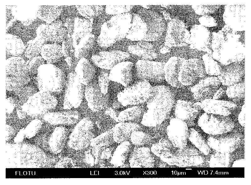 Method for preparing calcium sulfate crystal whiskers by using impurity-containing gypsum as raw material