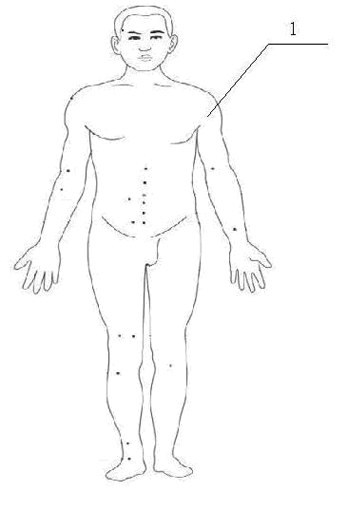 Method for designing high-emulation silica gel intelligent acupuncture and moxibustion teaching robot