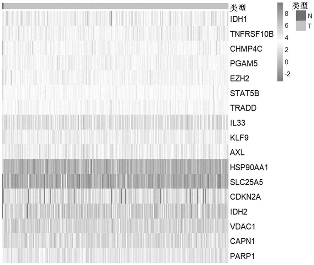 Molecular marker combination for predicting prognosis condition of cervical cancer patient and application of molecular marker combination