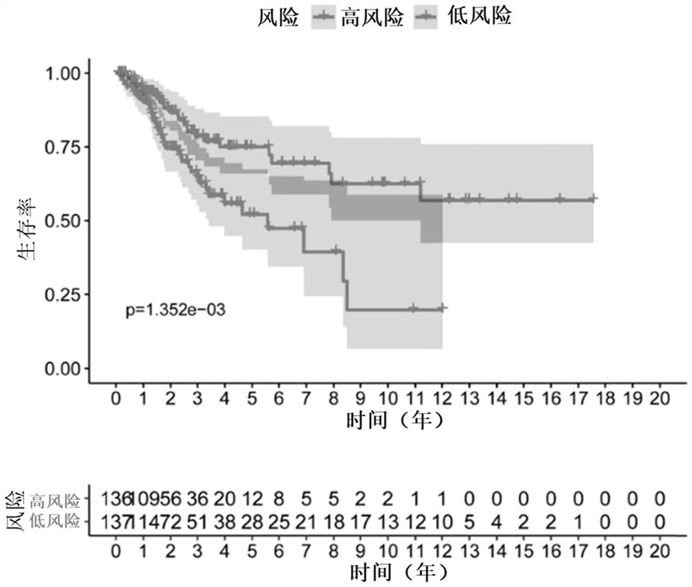 Molecular marker combination for predicting prognosis condition of cervical cancer patient and application of molecular marker combination