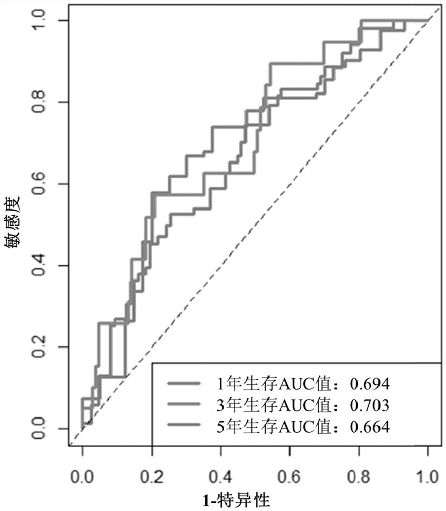 Molecular marker combination for predicting prognosis condition of cervical cancer patient and application of molecular marker combination