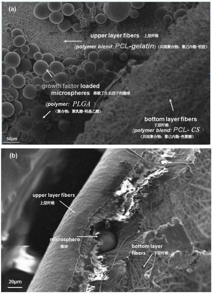 Composite electrostatic spinning nanofiber film and preparation method and application thereof