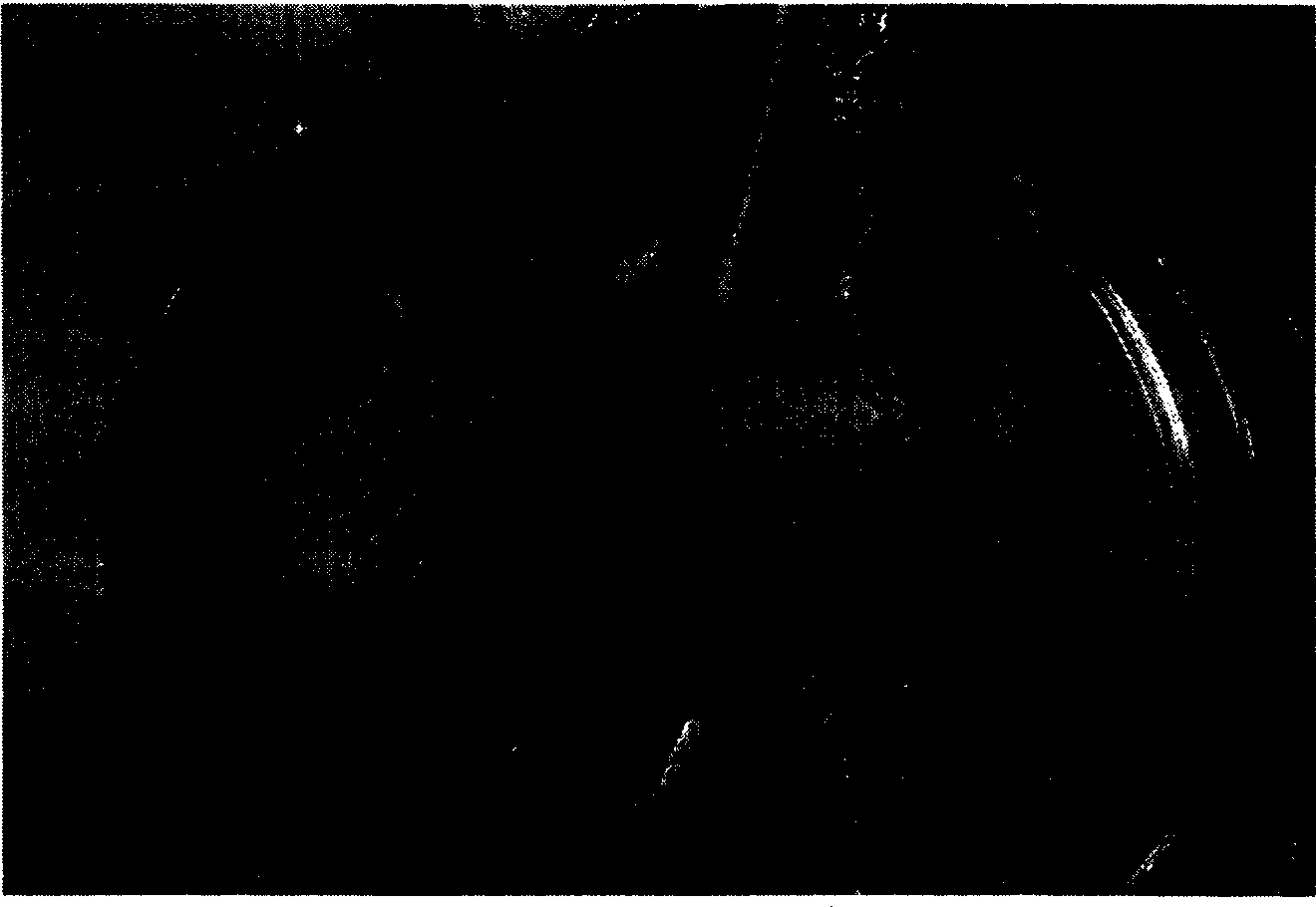 Successive planting resistant agent