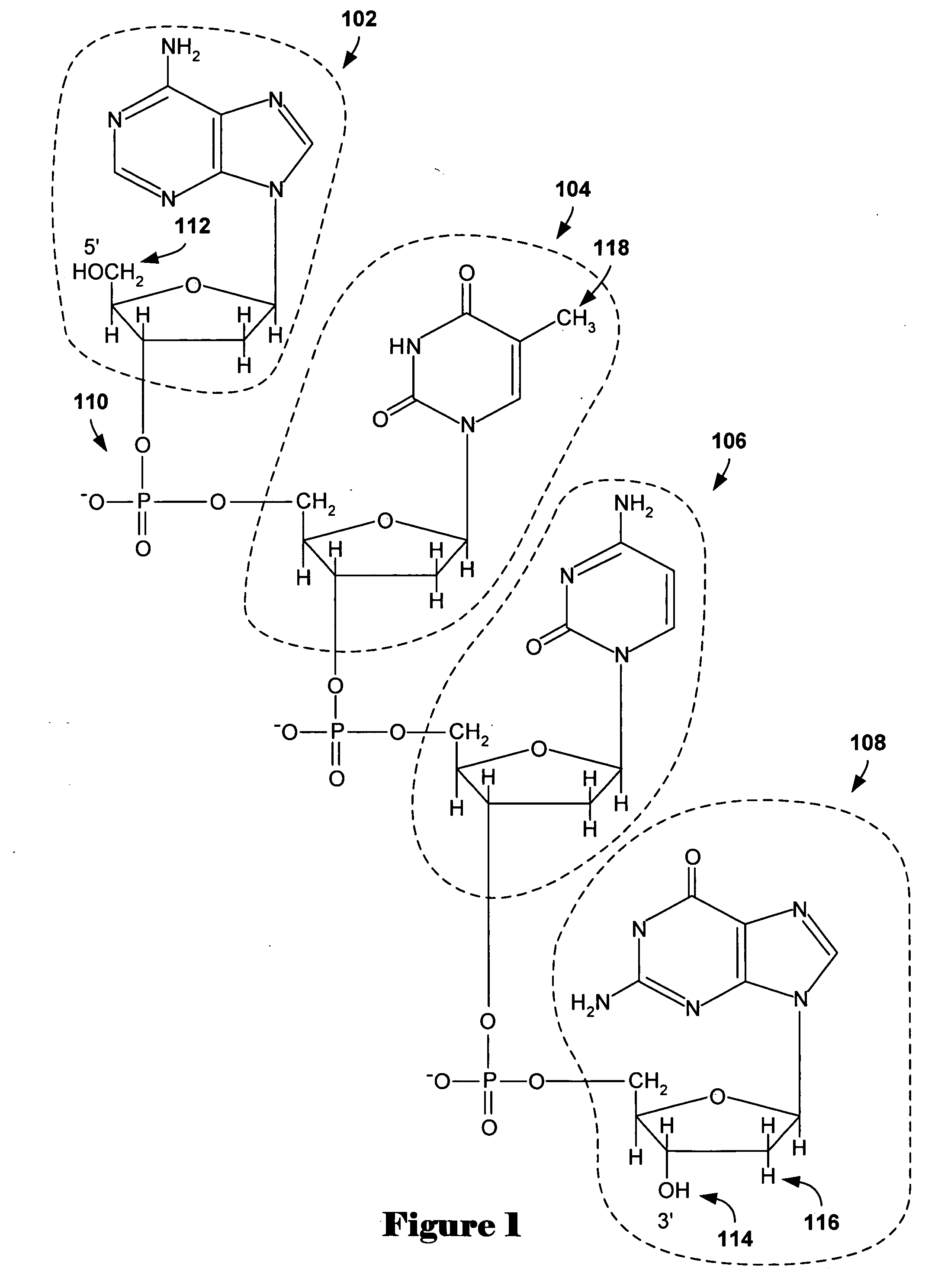 Method and system for analysis of array-based, comparative-hybridization data