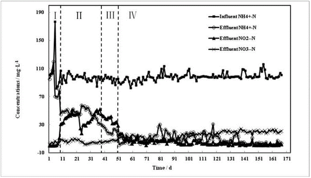 Method for rapidly starting completely autotrophic ammonia removal