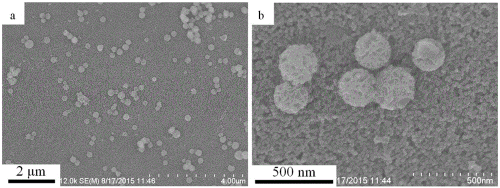 Anti-reflection super-hydrophobic self-cleaning SiO2 nano coating