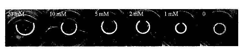 Intelligent bending double-gel for visual detection of glucose in urine, method for preparing same and application thereof