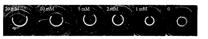 Intelligent bending double-gel for visual detection of glucose in urine, method for preparing same and application thereof