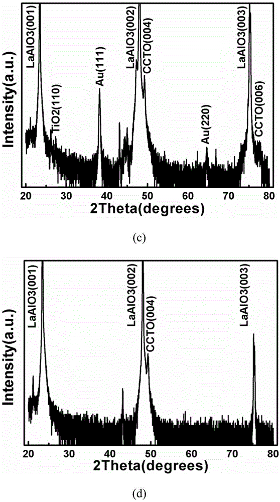 A kind of preparation method of low dielectric loss cacu3ti4o12 film