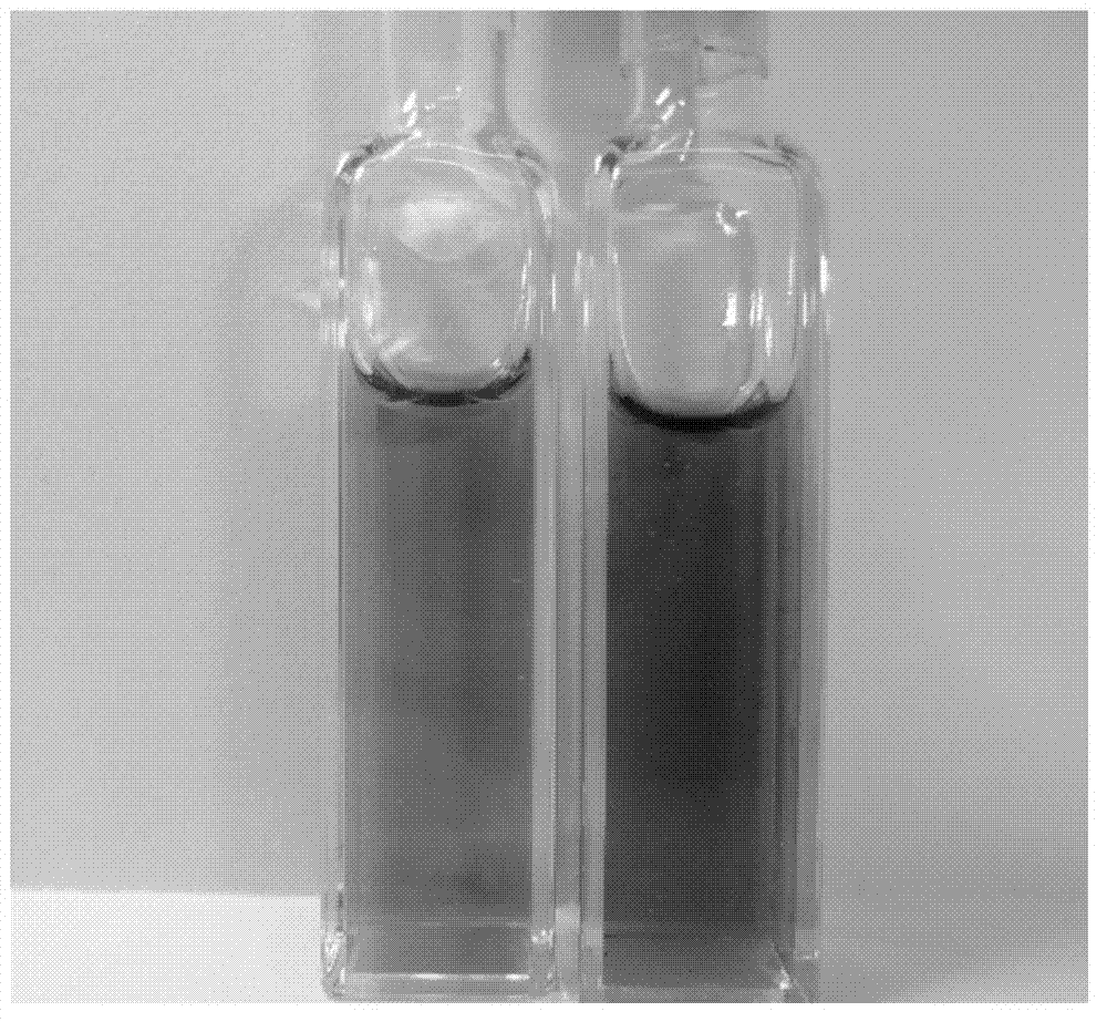 Photosensitive dye osmium complex and preparation method thereof, canceration early stage deoxyribonucleic acid (DNA) oxidative damage quick detection kit and detection method