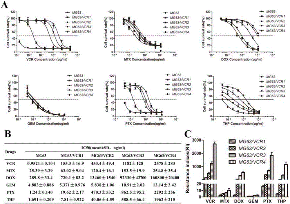 Kit for detecting drug resistance of malignant parenchymatous tumors to chemotherapeutic drugs