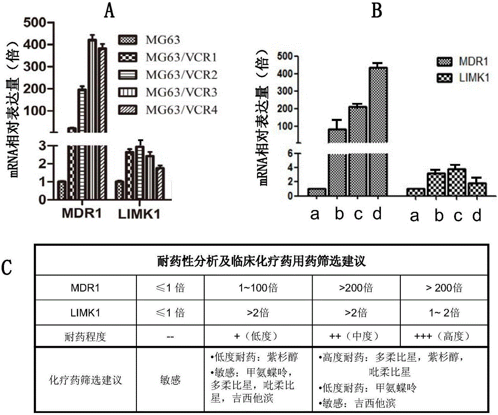 Kit for detecting drug resistance of malignant parenchymatous tumors to chemotherapeutic drugs