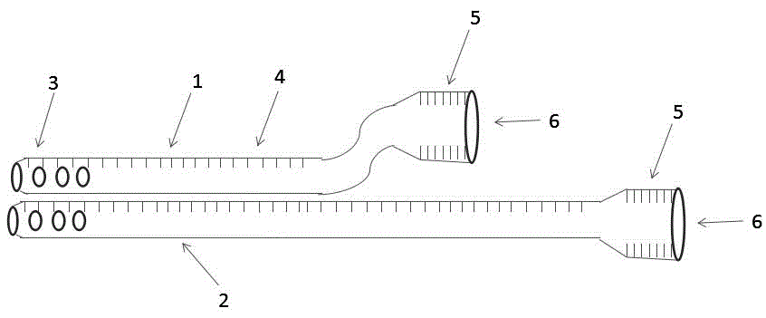 Body cavity flushing, dosing and complete draining device