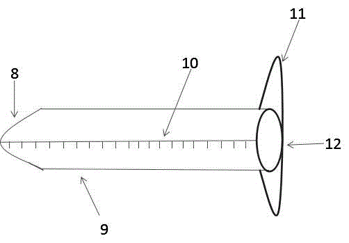 Body cavity flushing, dosing and complete draining device