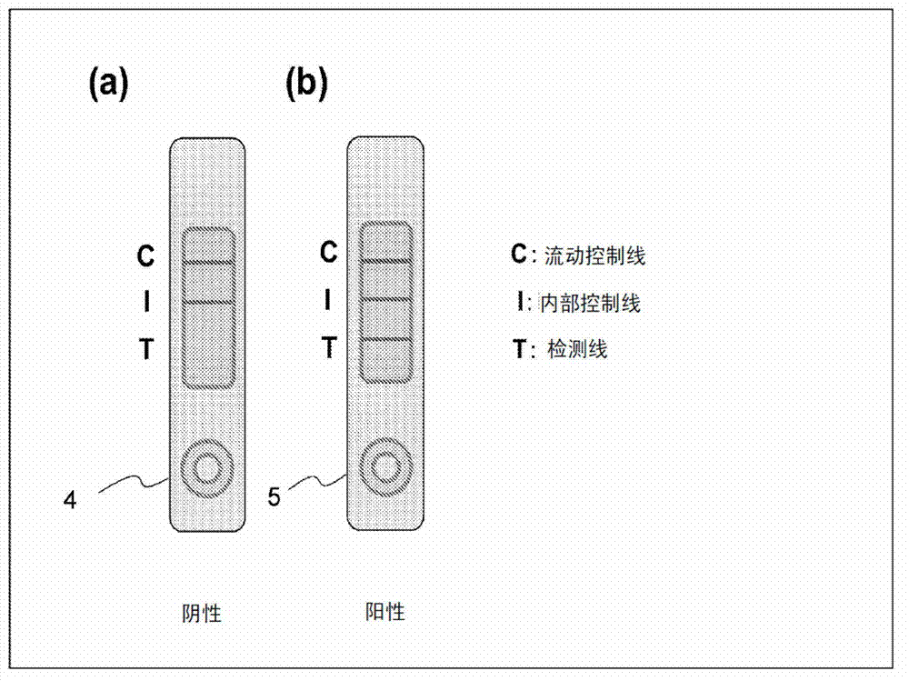 Reagent composition for nucleic acid chromatography or immunochromatography, method for measurement by nucleic acid chromatography or immunochromatography, and kit for measurement by nucleic acid chromatography or immunochromatography