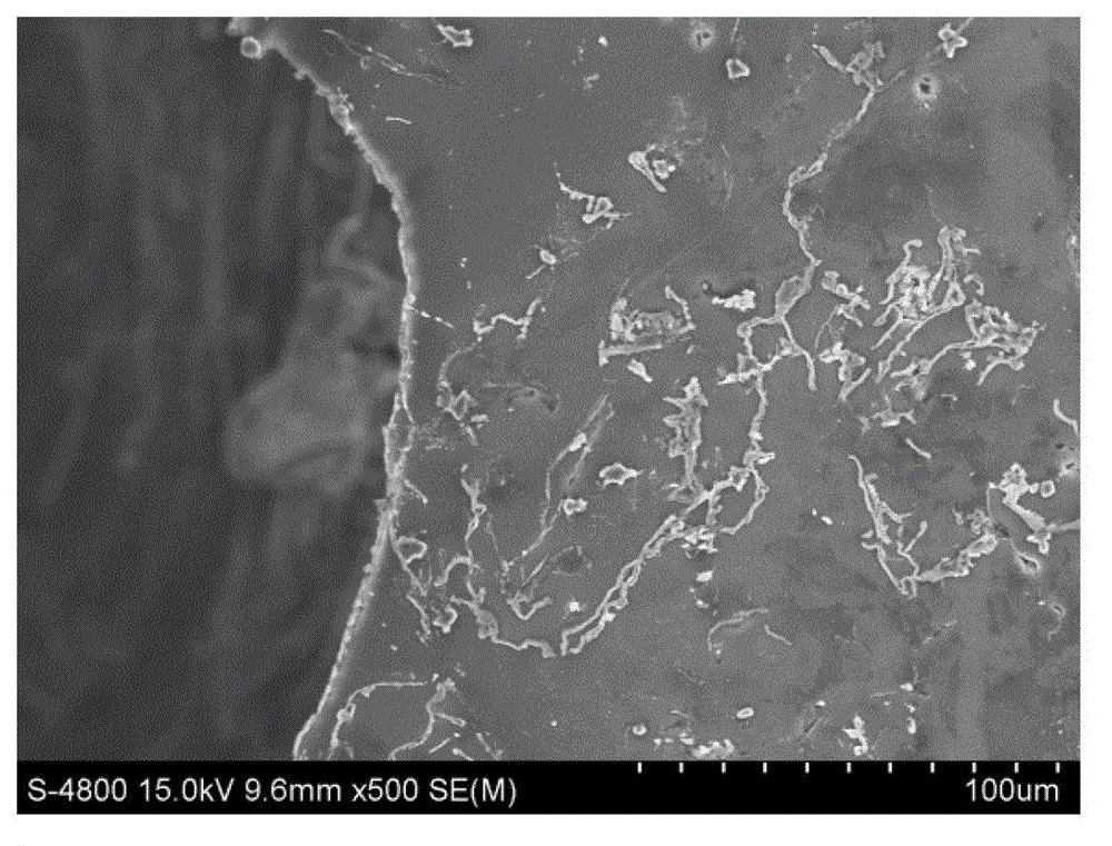 Heat treatment technology for enhancing foam magnesium alloy