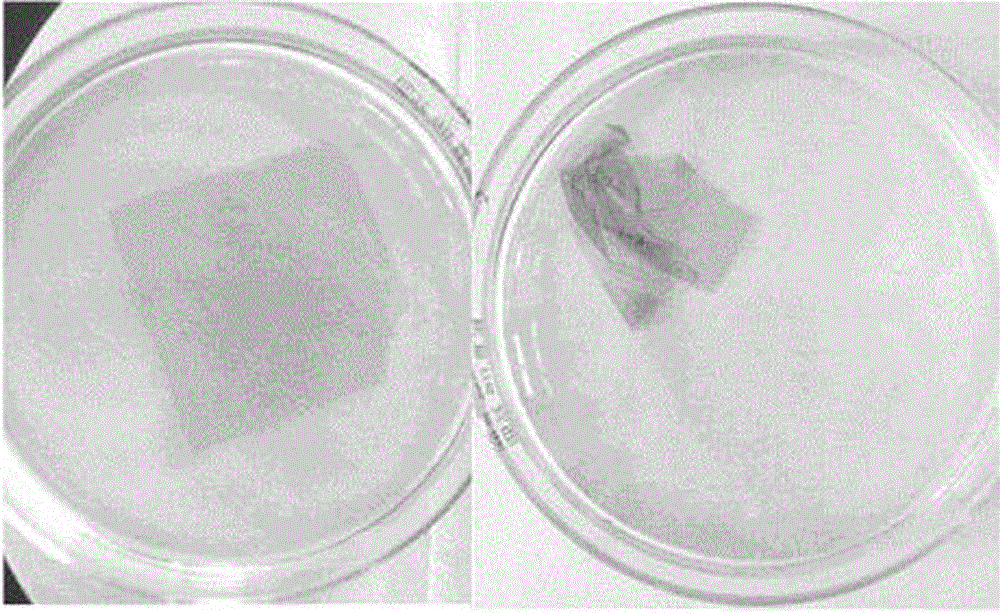 Preparation method of self-supporting PEDOT/PSS transparent conductive film