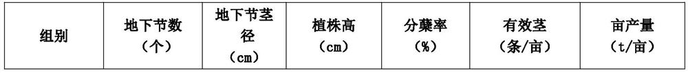 Sugarcane tissue culture seedling cultivation method suitable for mechanical planting