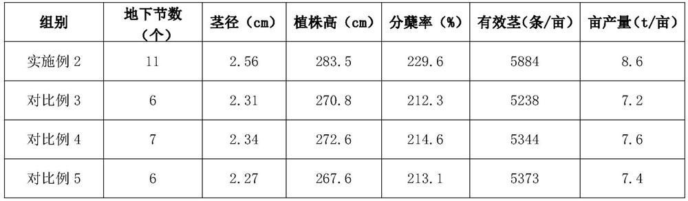 Sugarcane tissue culture seedling cultivation method suitable for mechanical planting