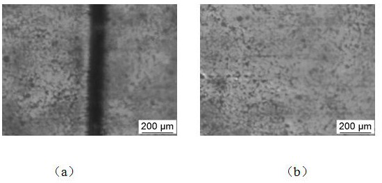 A kind of preparation method of metal protective film with both self-healing function and super-amphiphobic function