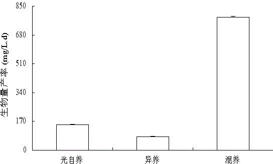 Scenedesmus sp., CHX1 and use thereof