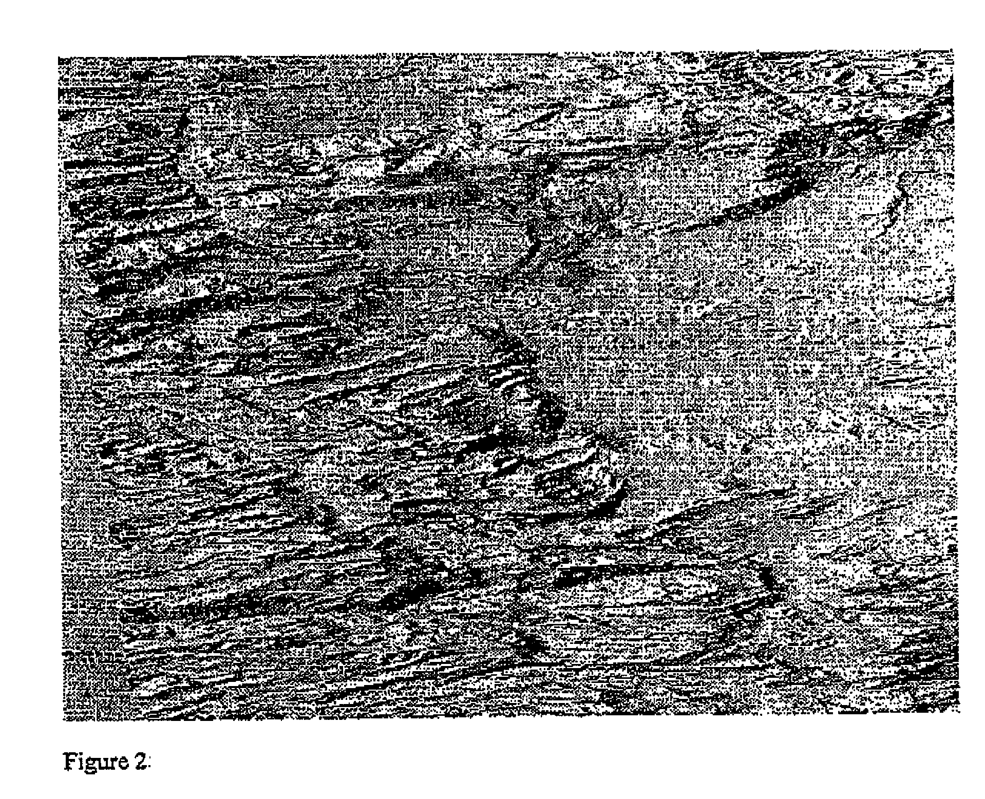 Method and system for modeling and managing terrain, buildings, and infrastructure