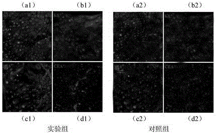 Culture medium for sweat gland cells and preparation method of culture medium