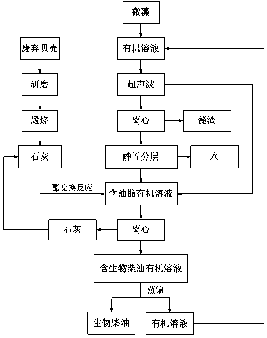 Method for producing wet microalgae biodiesel through calcining shells into lime under assistance of ultrasonic wave