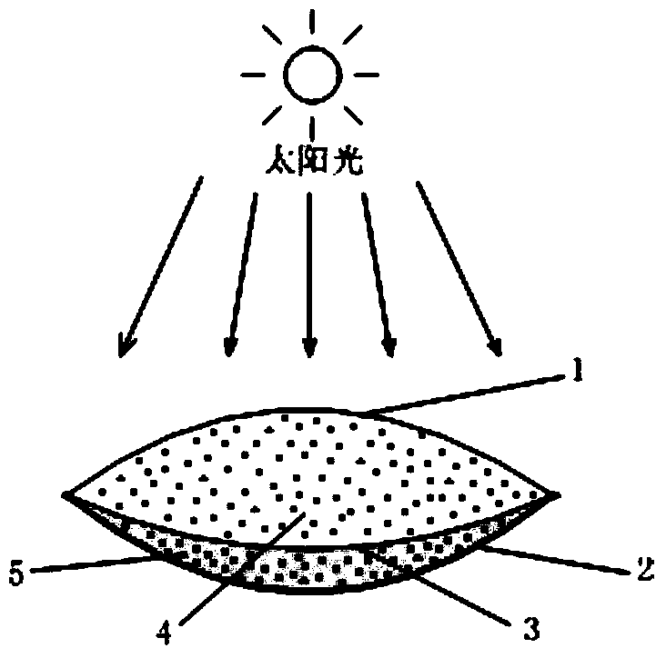 Solar heat-storage-type hand warmer utilizing ferroferric oxide magnetofluid