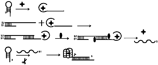 A method for detecting benzyl penicillin